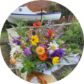 Clare (Warwickshire) profile picture